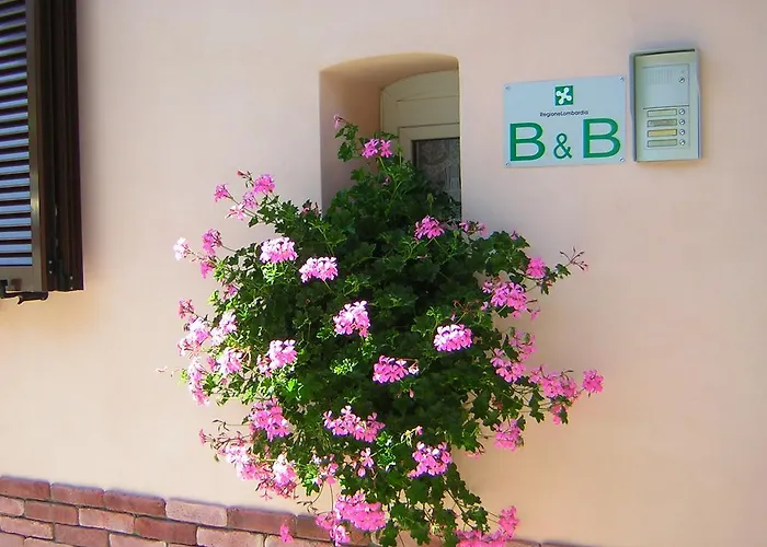 Bed & Breakfast Da-di 3*