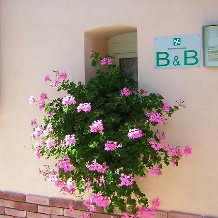 Bed & Breakfast Da-di *